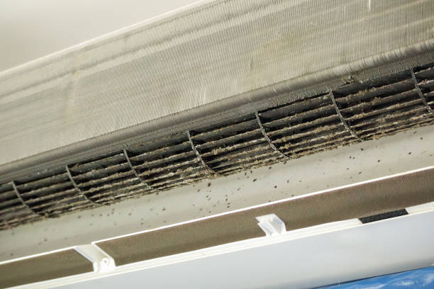 Best HVAC System Cleaning  in Superior, NE